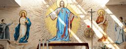 jezuici chicago|Sacred Heart Mission (Polish Jesuits)